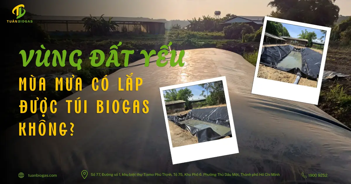 Vùng Đất Yếu, Mùa Mưa Có Lắp Được Túi Biogas Không